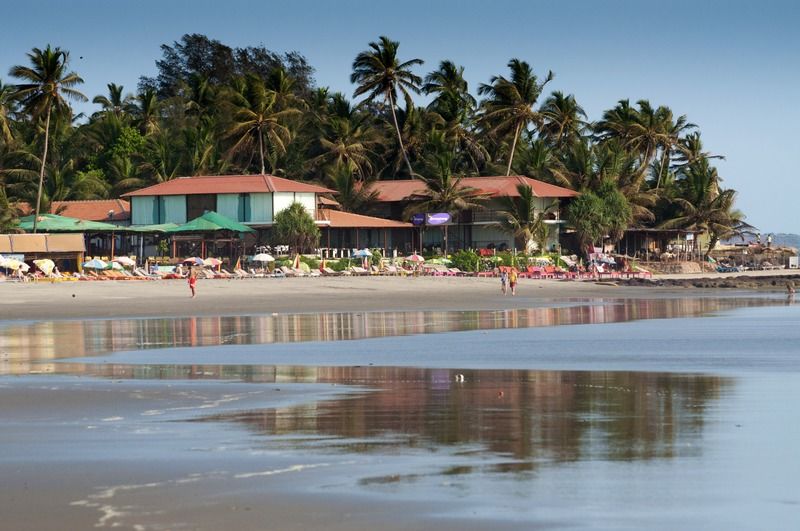 Boomerang Resort Mandrem Esterno foto