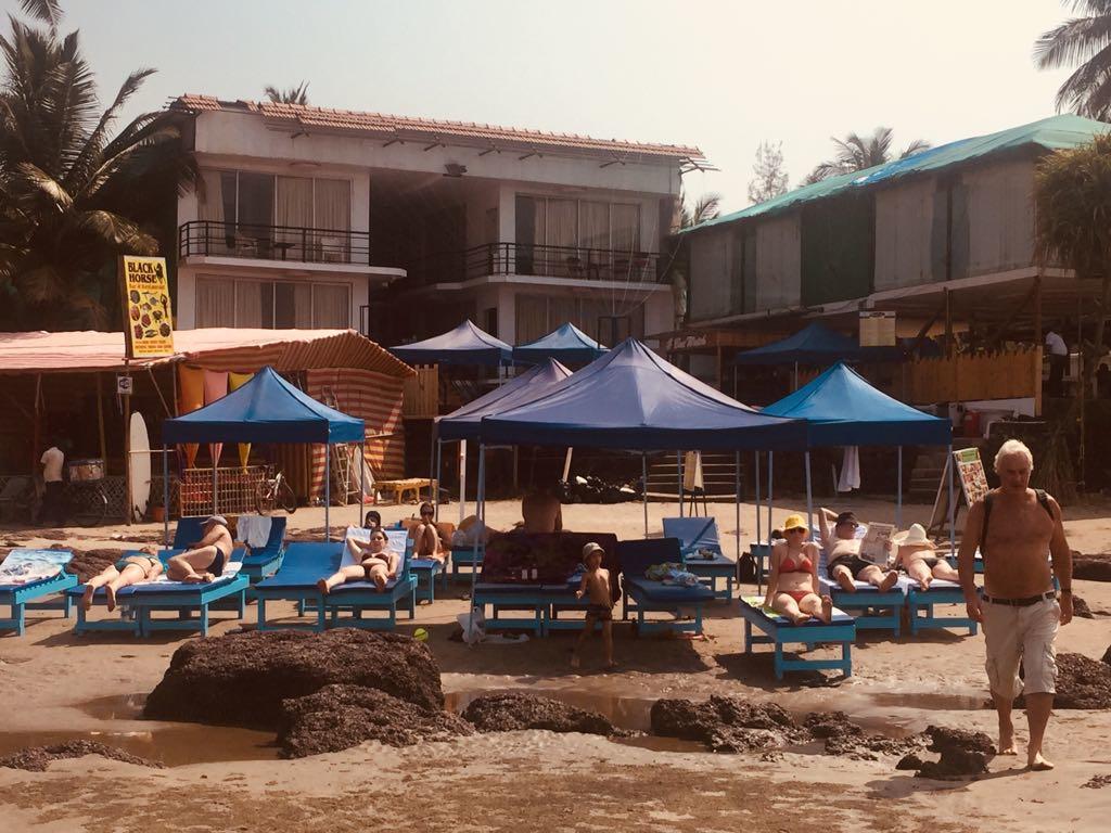 Boomerang Resort Mandrem Esterno foto
